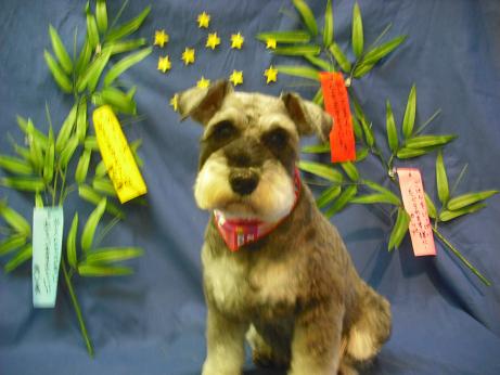 ファイル 4355-2.jpg