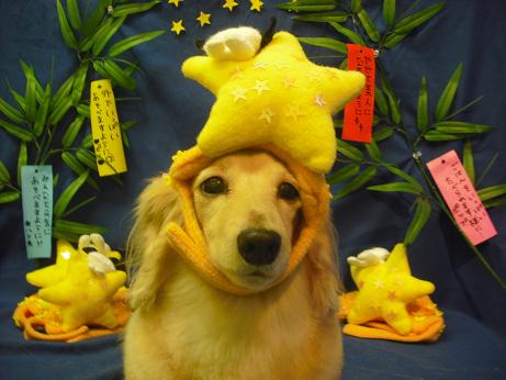 ファイル 4356-1.jpg