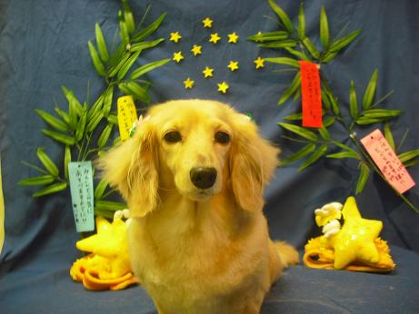 ファイル 4356-2.jpg