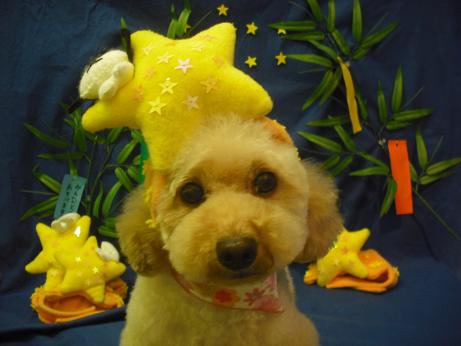 ファイル 4357-1.jpg