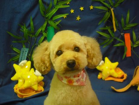 ファイル 4357-2.jpg