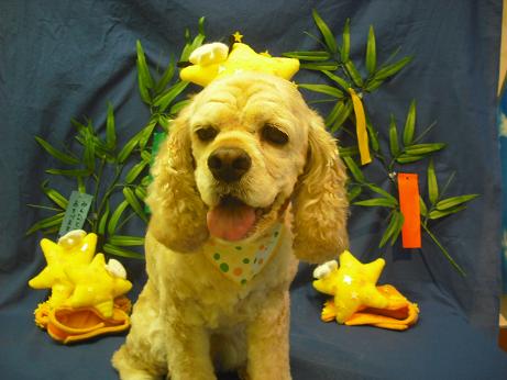 ファイル 4358-1.jpg