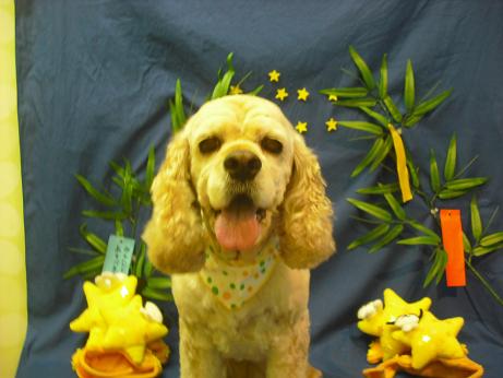 ファイル 4358-2.jpg