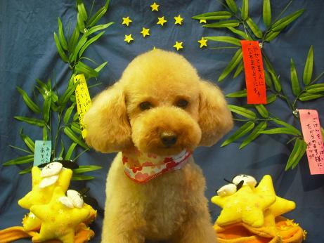 ファイル 4359-2.jpg