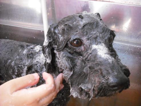 ファイル 436-2.jpg