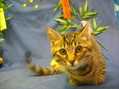 ファイル 4360-2.jpg