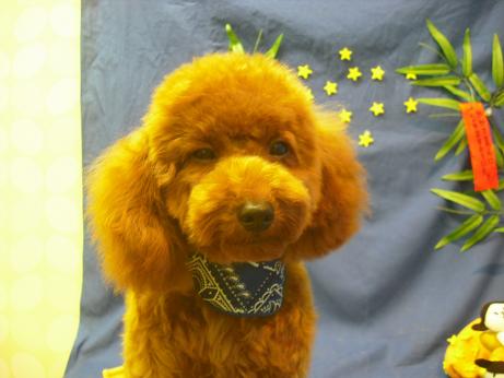 ファイル 4363-2.jpg