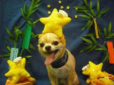 ファイル 4364-1.jpg