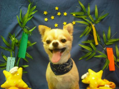 ファイル 4364-2.jpg