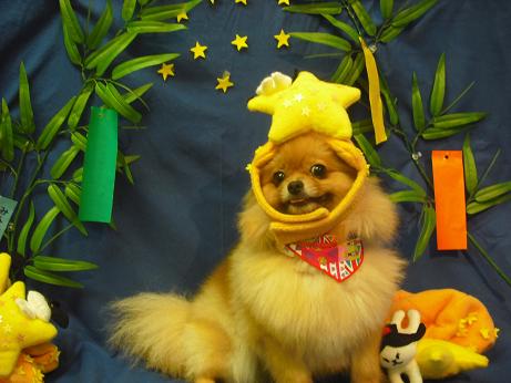 ファイル 4365-1.jpg