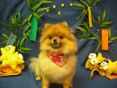 ファイル 4365-2.jpg