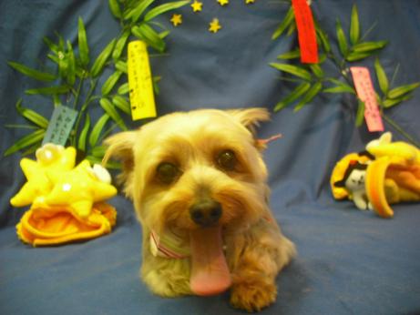 ファイル 4366-2.jpg