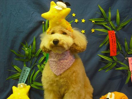 ファイル 4367-1.jpg