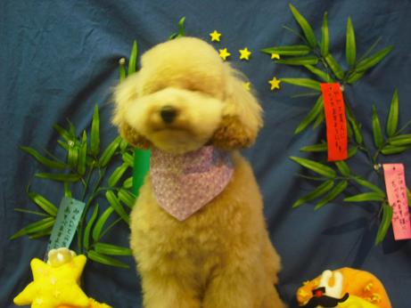 ファイル 4367-2.jpg