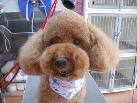 ファイル 4368-1.jpg