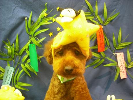 ファイル 4369-1.jpg