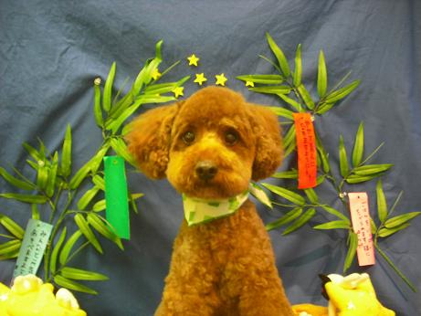 ファイル 4369-2.jpg