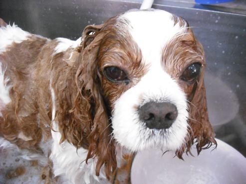 ファイル 437-2.jpg