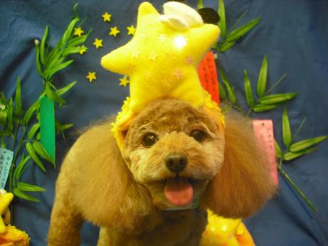 ファイル 4370-1.jpg