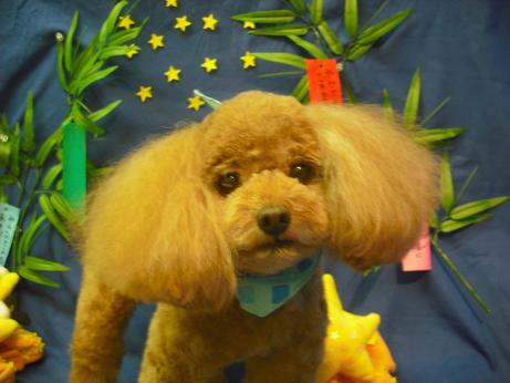 ファイル 4370-2.jpg