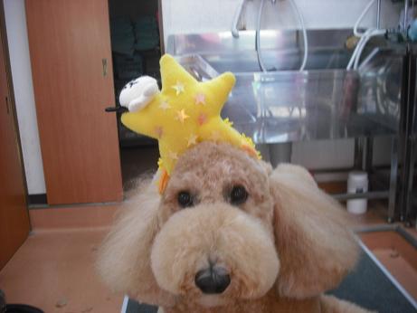 ファイル 4371-1.jpg