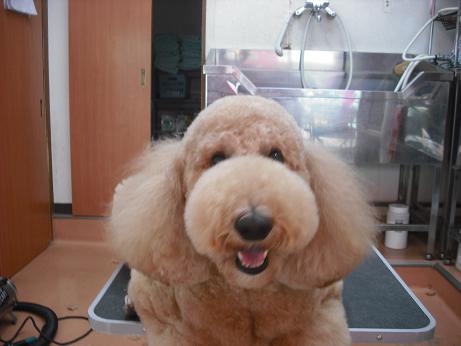 ファイル 4371-2.jpg