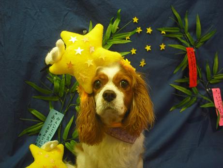 ファイル 4372-1.jpg