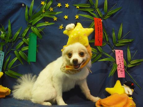 ファイル 4373-1.jpg