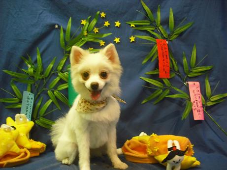 ファイル 4373-2.jpg