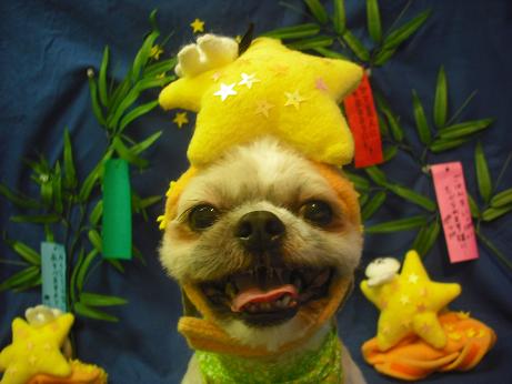 ファイル 4374-1.jpg