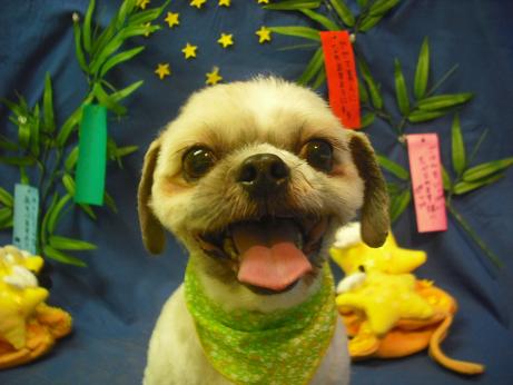 ファイル 4374-2.jpg