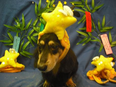 ファイル 4375-1.jpg