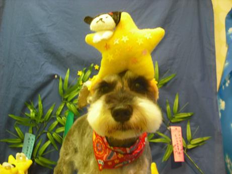 ファイル 4376-1.jpg