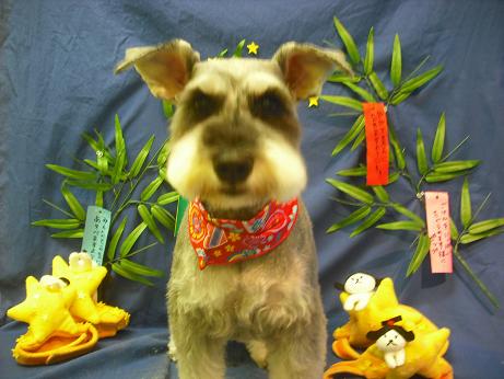 ファイル 4376-2.jpg