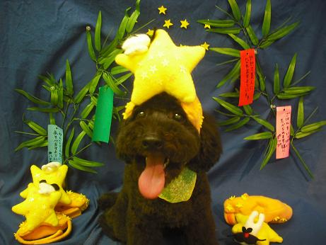 ファイル 4377-1.jpg