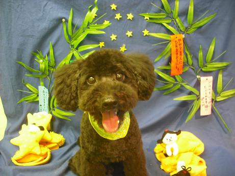 ファイル 4377-2.jpg