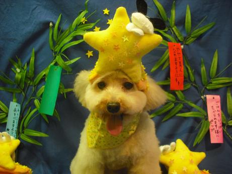 ファイル 4378-1.jpg