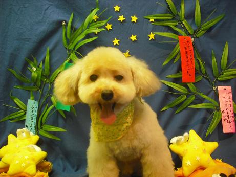 ファイル 4378-2.jpg