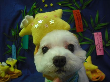 ファイル 4379-1.jpg