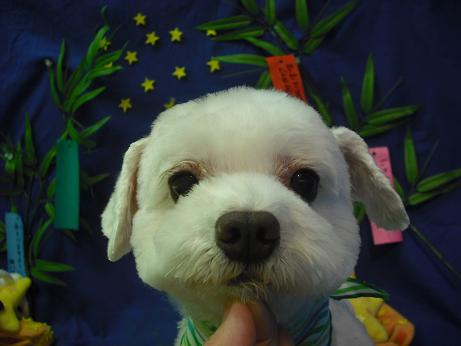 ファイル 4379-2.jpg