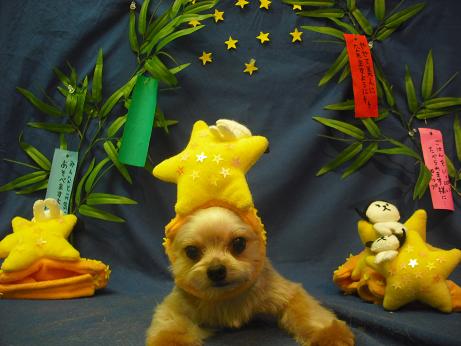 ファイル 4380-1.jpg