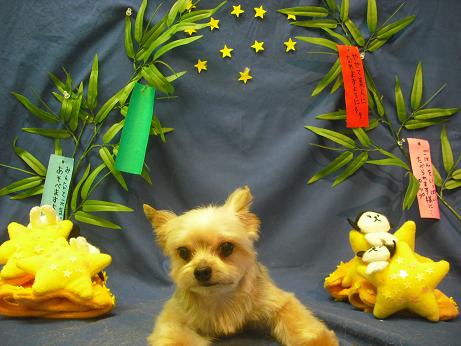 ファイル 4380-2.jpg