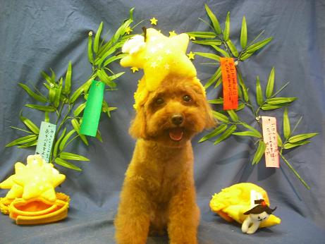 ファイル 4381-1.jpg