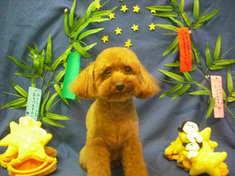 ファイル 4381-2.jpg