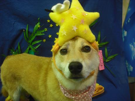 ファイル 4383-1.jpg