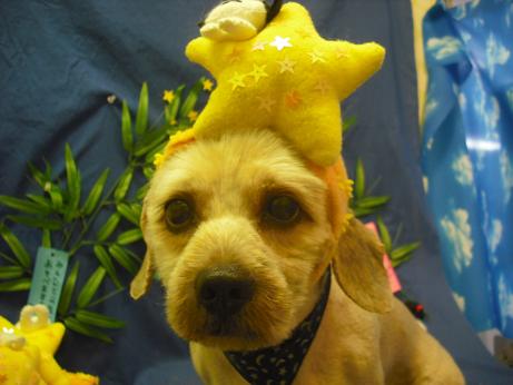 ファイル 4384-1.jpg