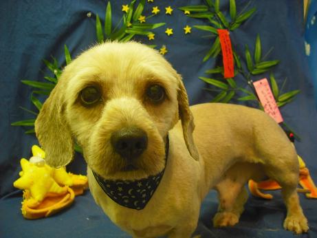 ファイル 4384-2.jpg