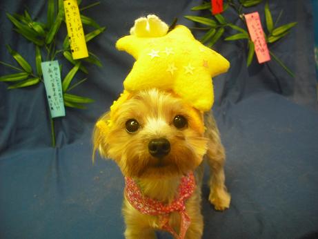 ファイル 4385-1.jpg