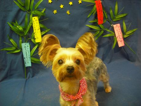 ファイル 4385-2.jpg