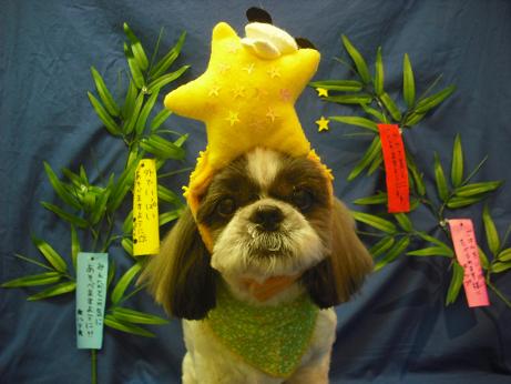 ファイル 4386-1.jpg